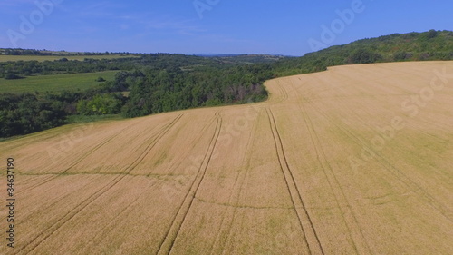 Aerial footage of flying over fields of ripe barley.