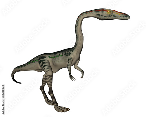 Coelophysis dinosaur - 3D render © Elenarts