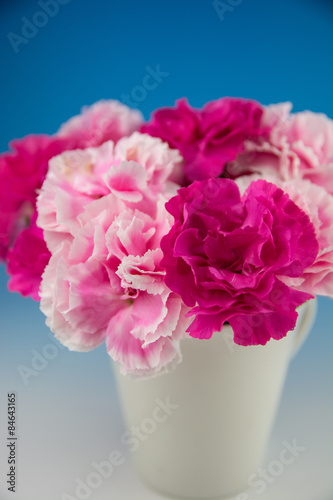 カーネーション