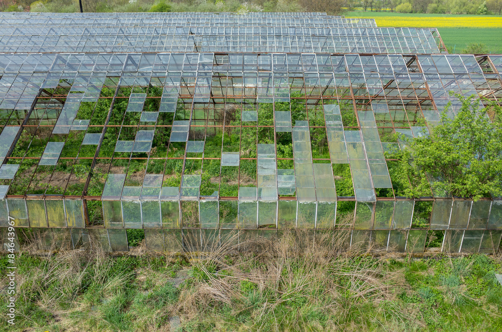 Destroyed greenhouses