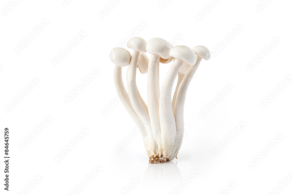 Fototapeta premium Fresh white mushrooms isolated on white background