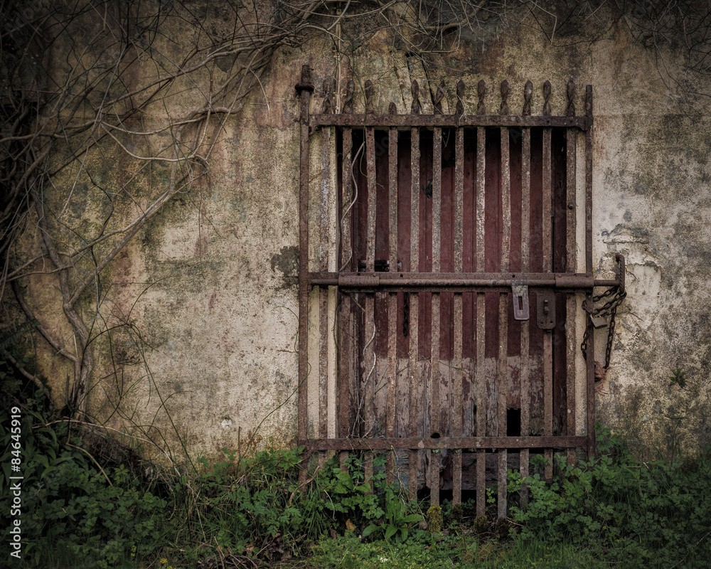 Fototapeta premium Rusted gate