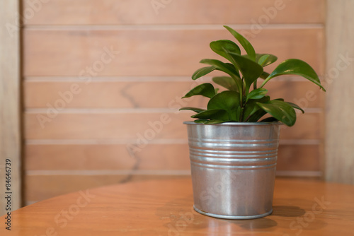 Flowerpot on wood table