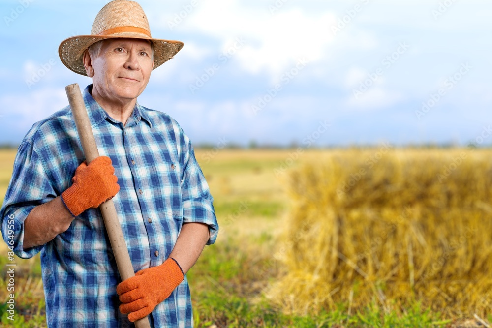 Gardening, Senior Adult, Men. Gardening, Senior Adult, Men.
