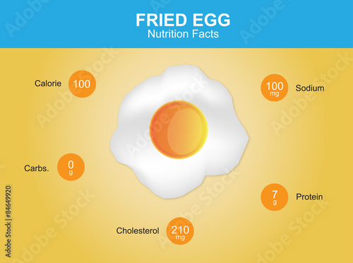 fried egg nutrition facts, fried egg with information, fried egg vector