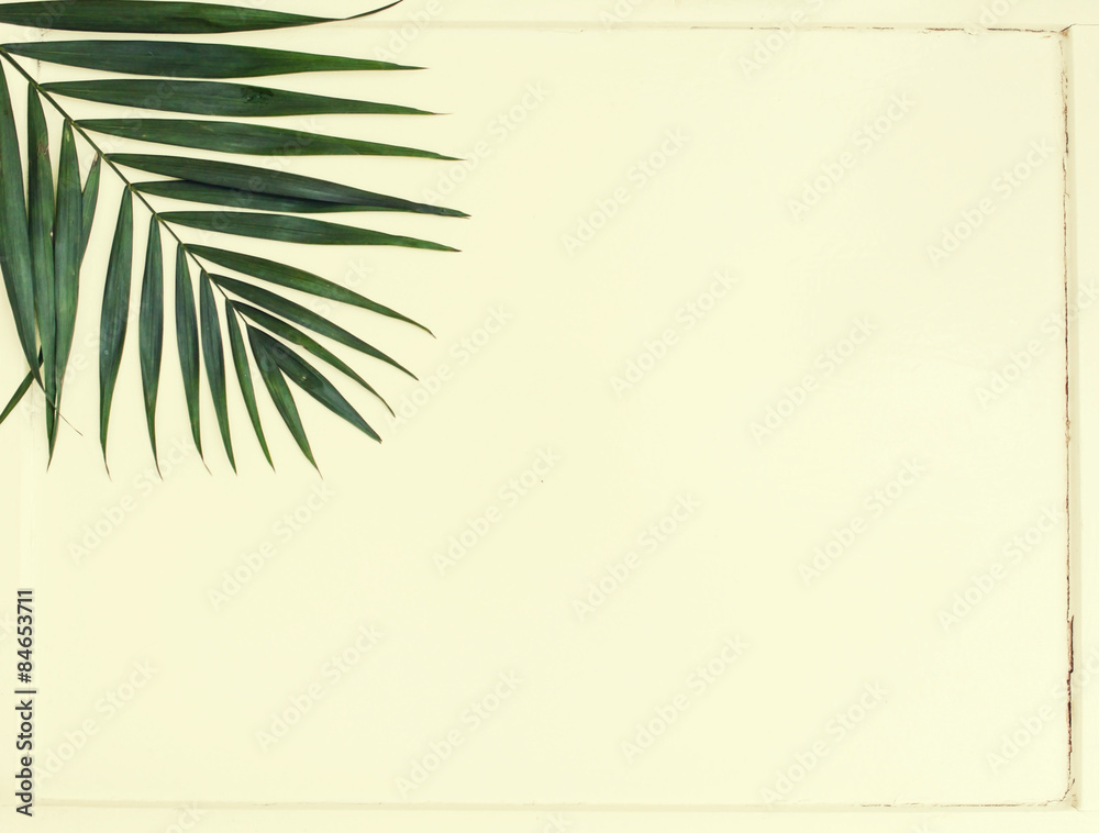 areca palm leaves - obrazy, fototapety, plakaty 