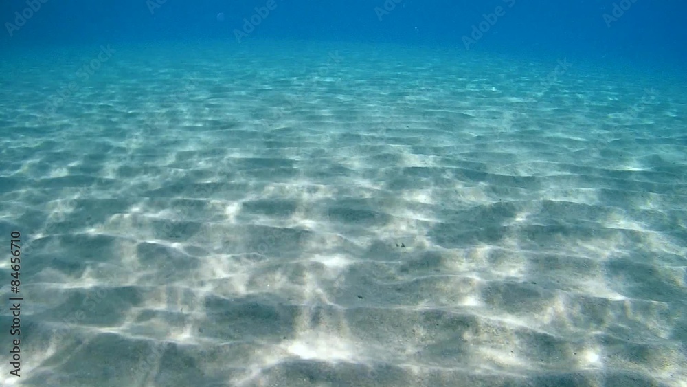 Underwater, the sunlight on the sandy bottom of the sea
Underwater, the sunlight on the sandy bottom of the sea