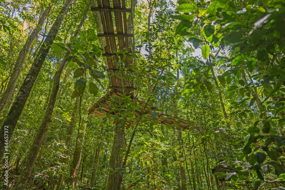 Fototapeta premium Hängebrücke im Wald