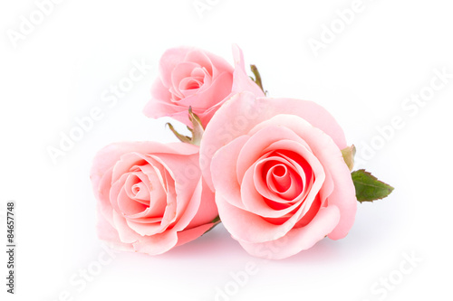 Fototapeta Naklejka Na Ścianę i Meble -  pink rose flower on white background