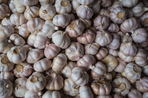 stall of garlic at the market