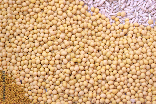 Ripe Soy Beans as Background