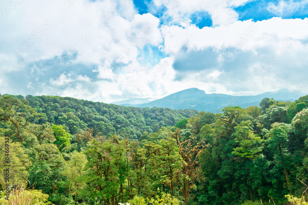Fototapeta premium mountain landscape