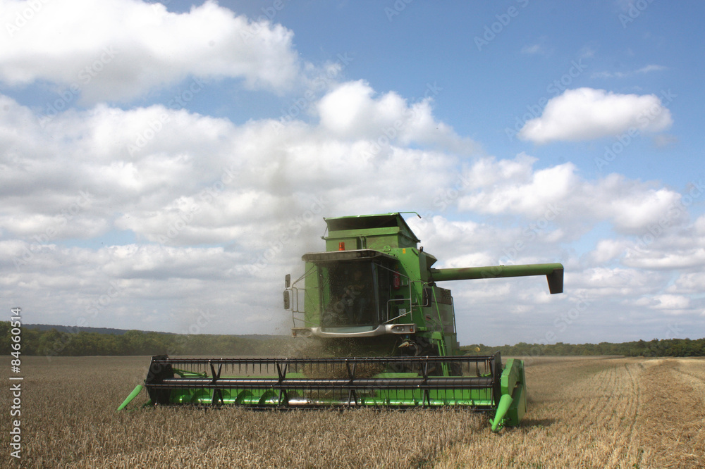 Obraz premium Moisson