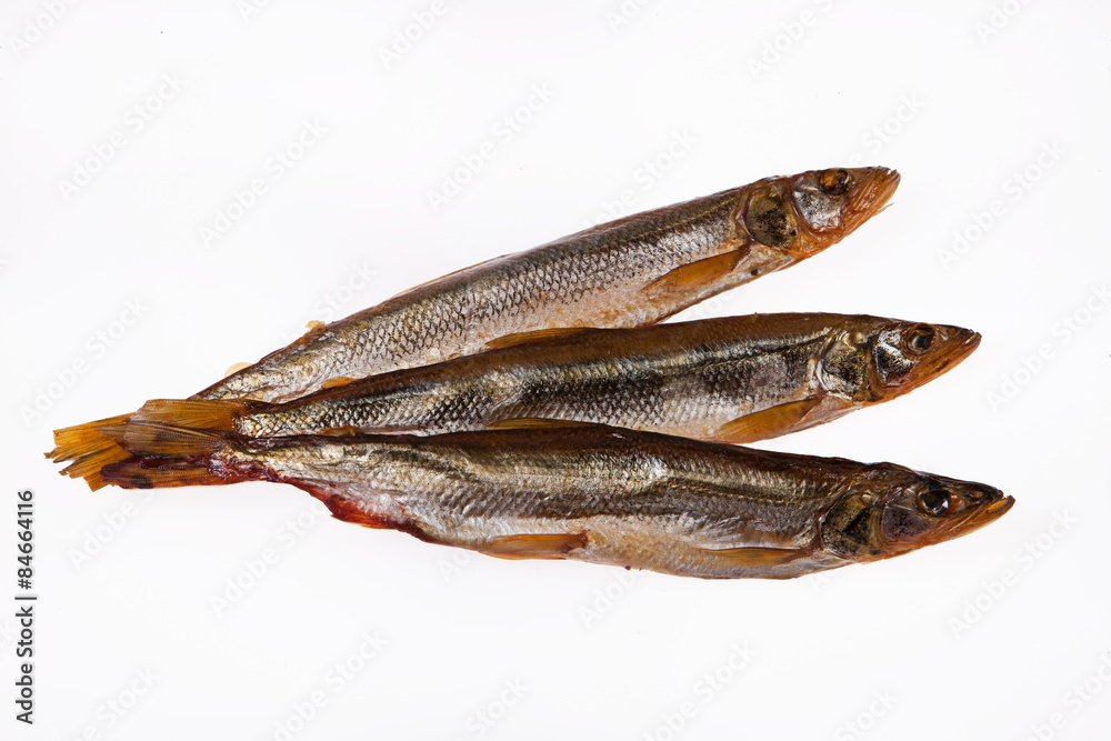 Fish Fish
