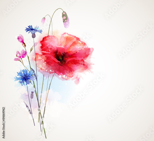 Floral bouquet with poppy and cornflowers