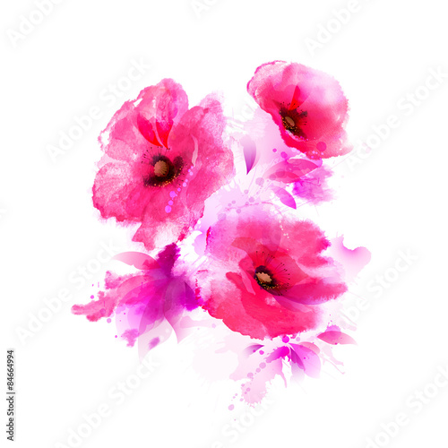 Three flowering pink poppies. Abstract watercolor drawing.