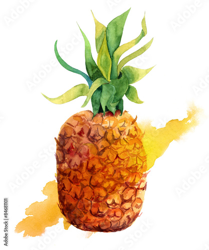 Watercolour pineapple with a splash on white background