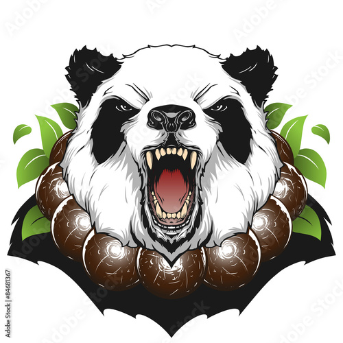 Angry panda head