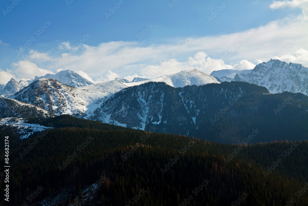 Mountain snowy landscape with forest