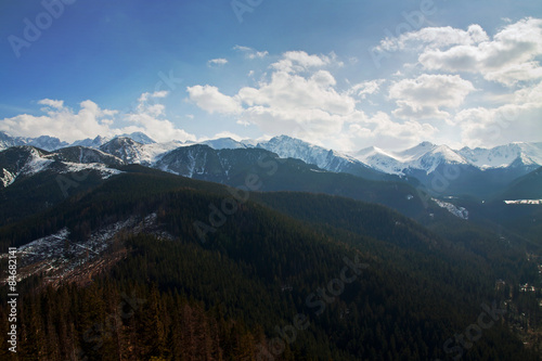 Mountain snowy landscape with forest