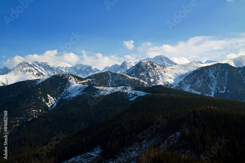 Mountain snowy landscape with forest