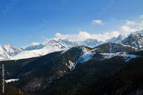 Mountain snowy landscape with forest © pab_map