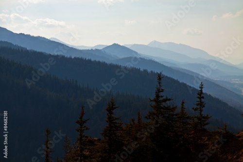 Mountain landscape with pine trees