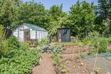 Citygarden with vegetables in plant beds and a greeenhouse
