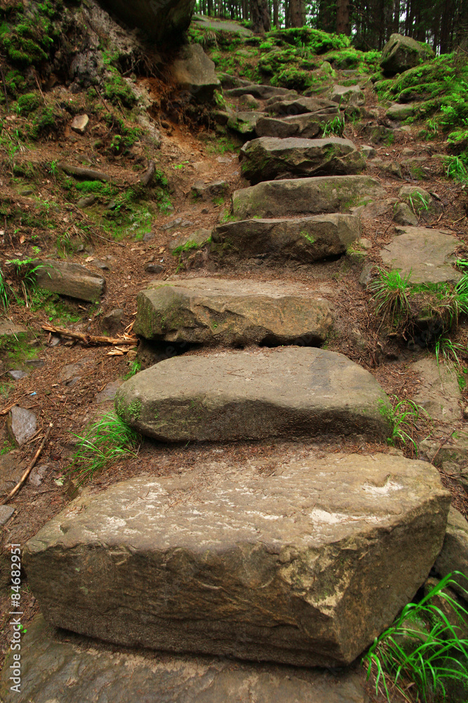 Rocks staircase in forest