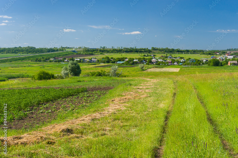 Rural landscape at summer season, central Ukraine