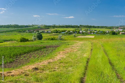 Rural landscape at summer season  central Ukraine