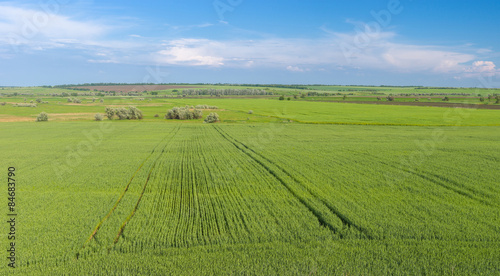 Expanse of Ukrainian agricultural fields © Yuri Kravchenko