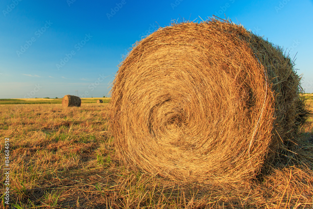 Hay bale in the countryside