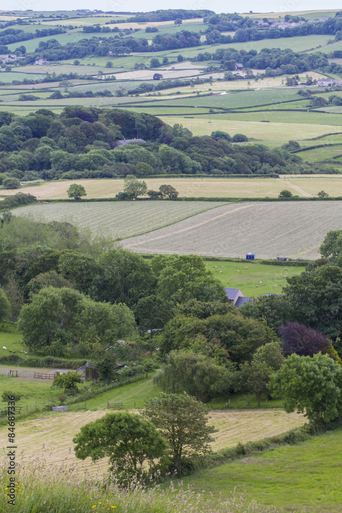 Naklejka premium rollings hills with crops in fields