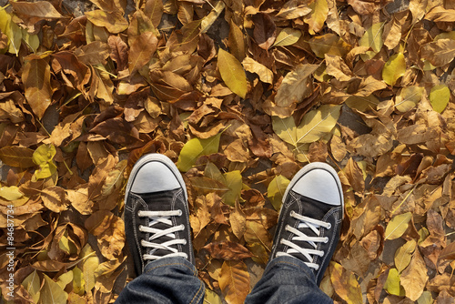 Sneakers and yellow leaves