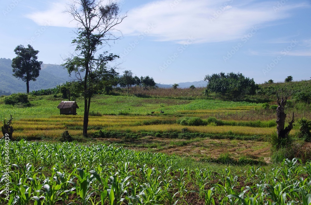 Obraz premium Paysage au Laos