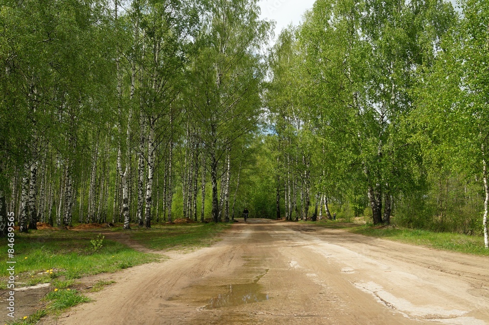 грунтовая дорога грунтовая дорога