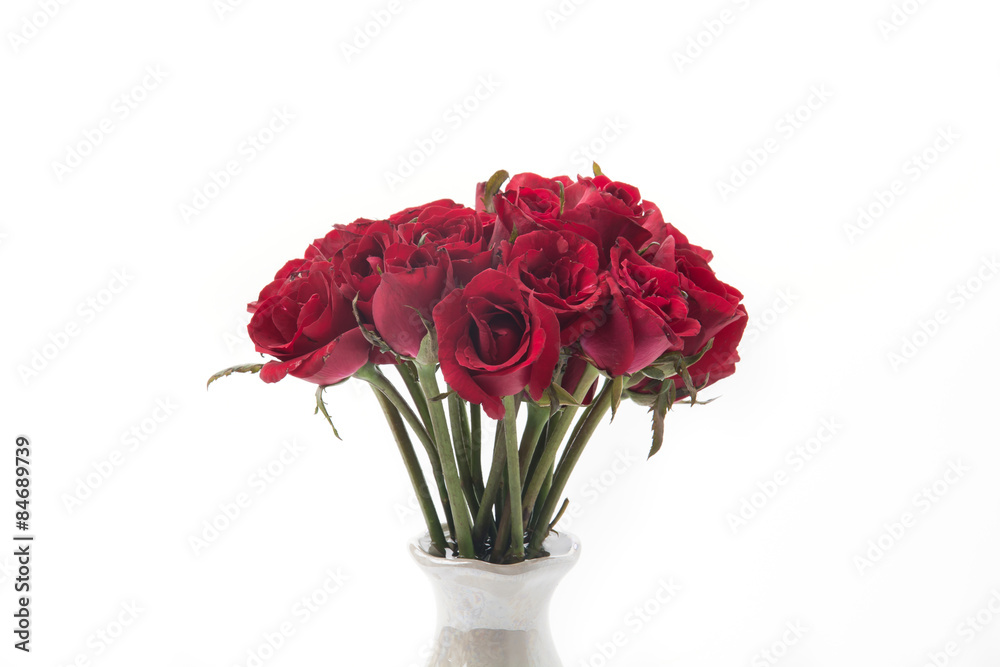 red rose red rose