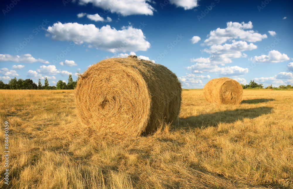 Hay bale in the countryside