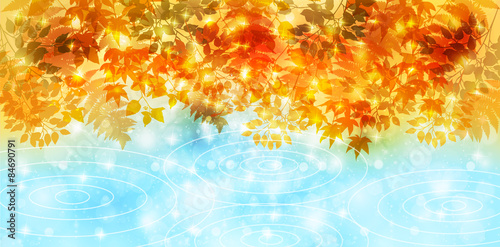 もみじ　紅葉　背景