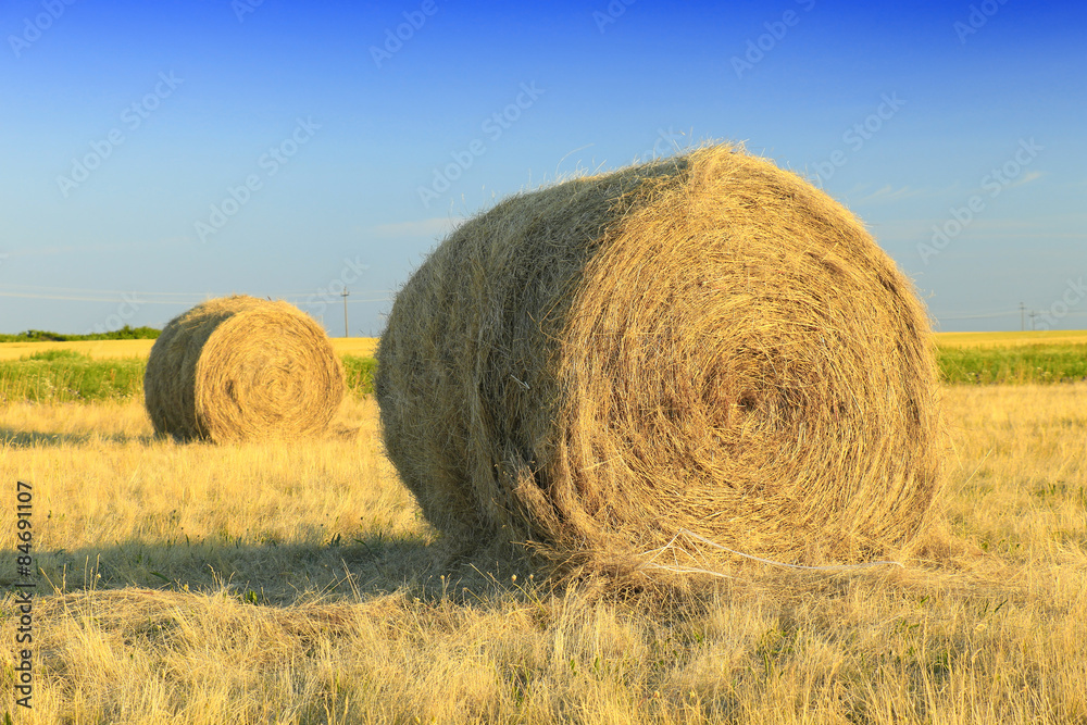 Hay bale in the countryside