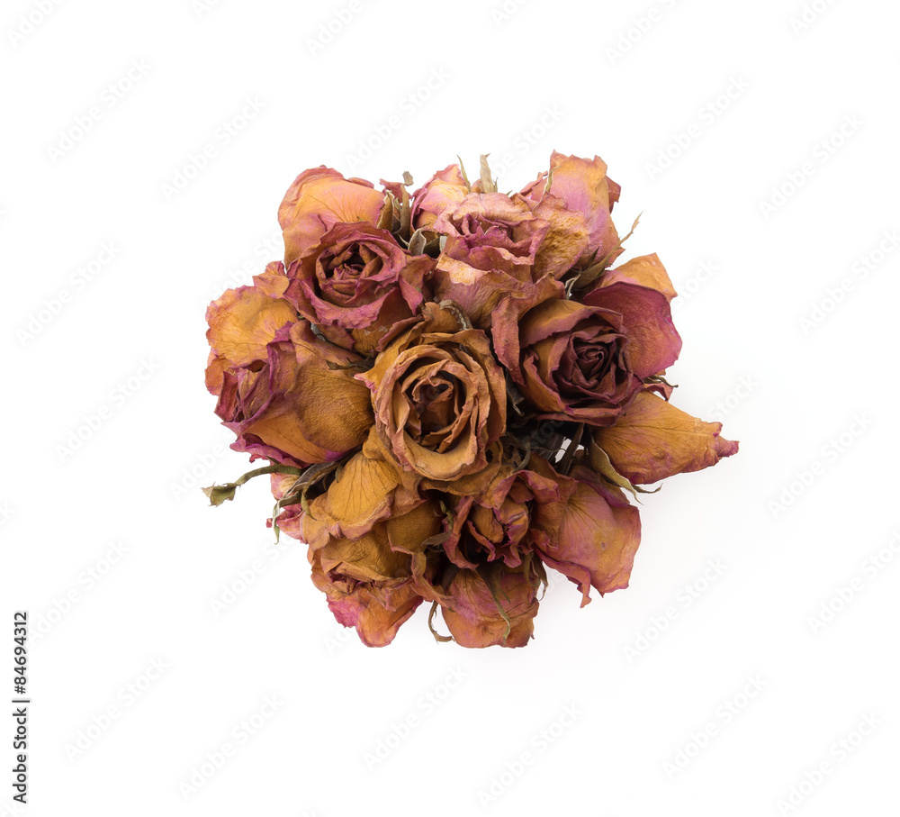 dry rose dry rose
