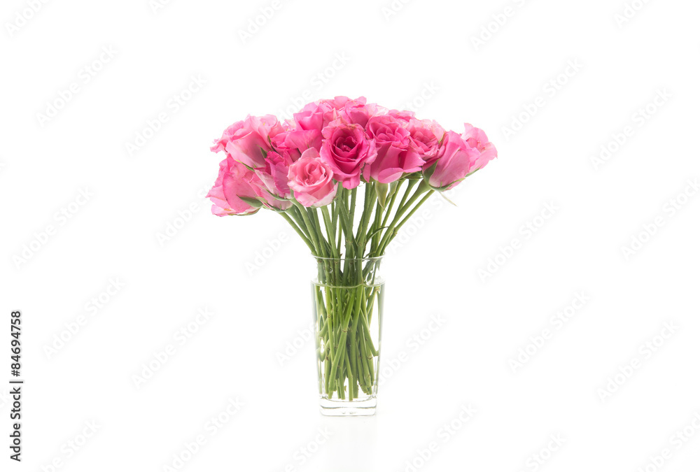 pink rose pink rose