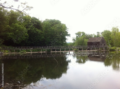 House with bridge in the lake