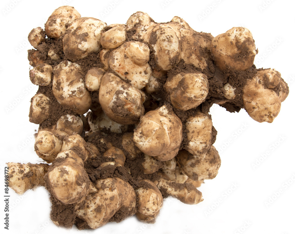 Jerusalem artichoke on a white background Jerusalem artichoke on a white background