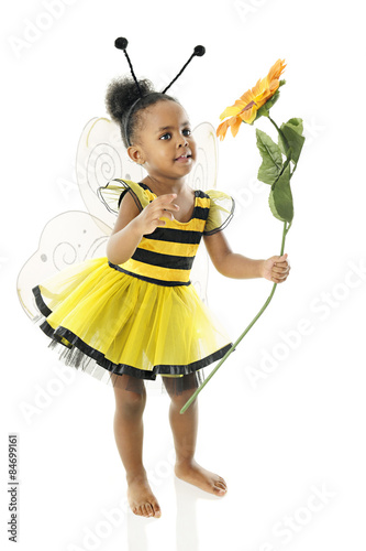Adorable Baby Bumble Bee © Glenda Powers