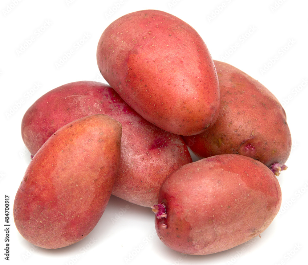 red potatoes on a white background red potatoes on a white background