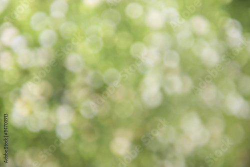 bokeh blur backgrounds