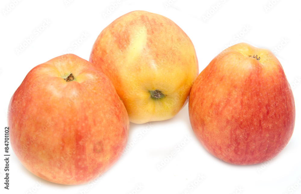 red and yellow apples on a white background red and yellow apples on a white background