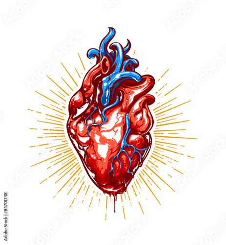 Heart Vector Art